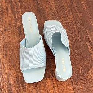 ShoeNTale Women's Sky Blue Mules